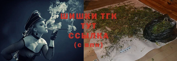 индика Баксан