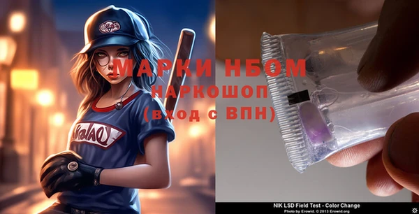 индика Баксан