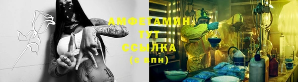 стаф Тайга