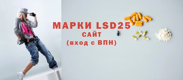 индика Баксан