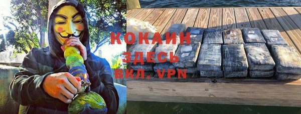 индика Баксан