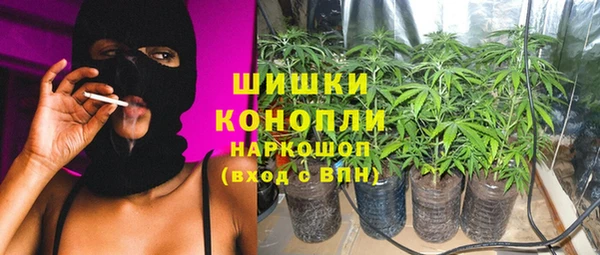 индика Баксан