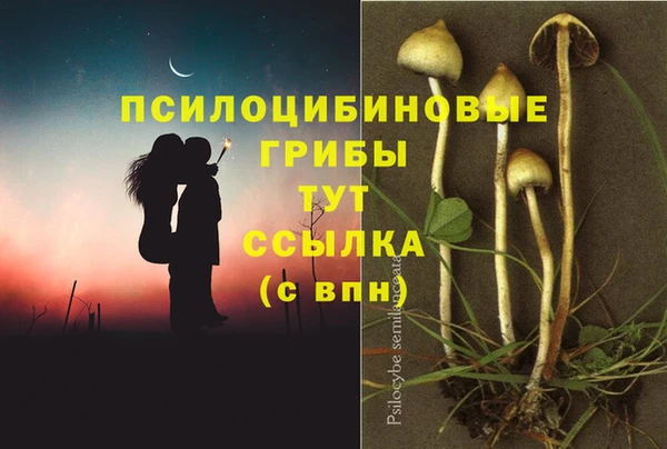 2c-b Балабаново