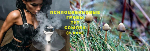 индика Баксан